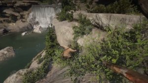 ТОП 10 СОКРОВИЩ и ТАЙНИКОВ в Red Dead Redemption 2 | RDR2