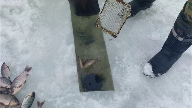 рыбалка на тягу январь 2024 смотреть онлайн