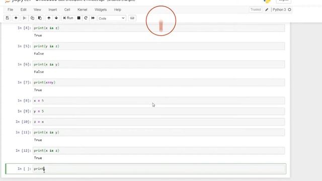 How to use Identity Operators in Python | Python Programming смотреть онлайн