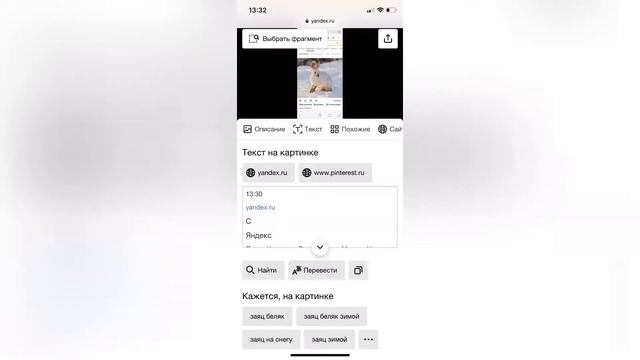 Поиск по картинке на телефоне iPhone в Safari смотреть онлайн