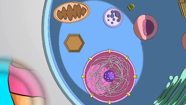 🏃 Бад «Миокапс» для энергии-бодрости-настроения смотреть онлайн