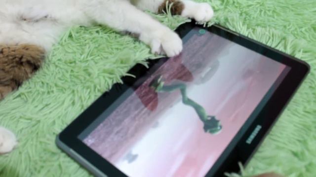 Dame Tu Cosita Dance Challenge Танцевальный ЧЕЛЛЕНДЖ даме ту касита Лиза и Карамелька LizaTube