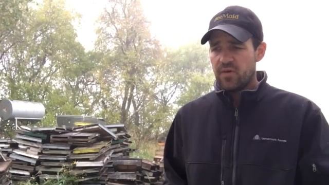 Почему пчел кормить необходимо? (Иан Степплер, Канада)