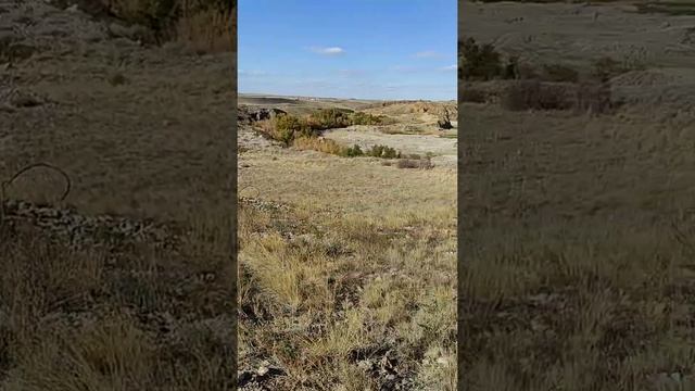 South Galaxy G1(GPS GNSS RTK), топосъемка.