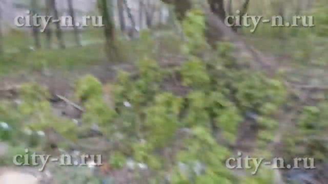 Многолетняя стихийная свалка на Запсибе смотреть онлайн