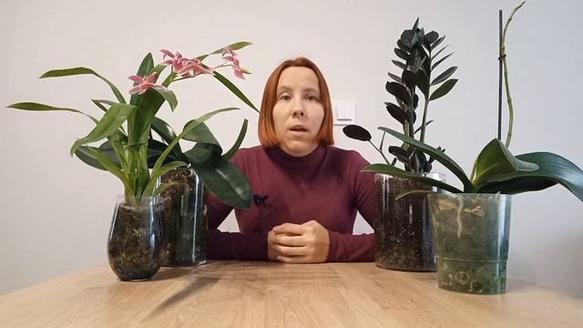 Как правильно ПОЛИВАТЬ орхидеи? По ТРЕБОВАНИЮ или по ГРАФИКУ. смотреть онлайн