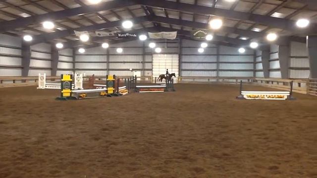 Nicole Gibson On Pompi (Novice Fences)