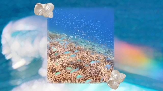 Построить собственное будущее ♡ саблиминал смотреть онлайн