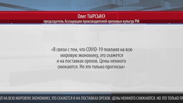 В МОЛДОВЕ МОГУТ ПОДЕШЕВЕТЬ ГРЕЦКИЕ ОРЕХИ