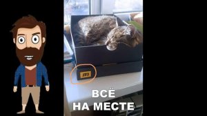 Лютые приколы. КОТ СКУЧАЕТ ПО ШКОЛЕ!!! РЖАКА ДО СЛЁЗ! СМЕШНЫЕ ЖИВОТНЫЕ – Domi Show