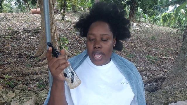 How To: Aloe Vera and Tuna Plant for hair growth on natural hair | Wash Day Routine смотреть онлайн