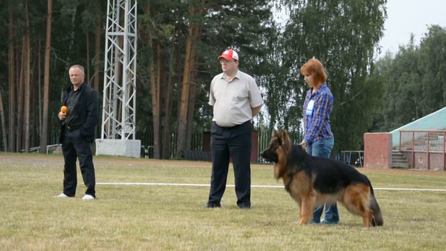 № 137 РУС ХОРАНДУС РОККИ смотреть онлайн