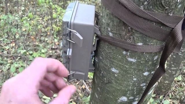 ОБЗОР фотоловушки KeepGuard 691 | Лесной Кордон смотреть онлайн