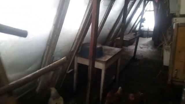 Как зимуют наши кролики и курочки. смотреть онлайн