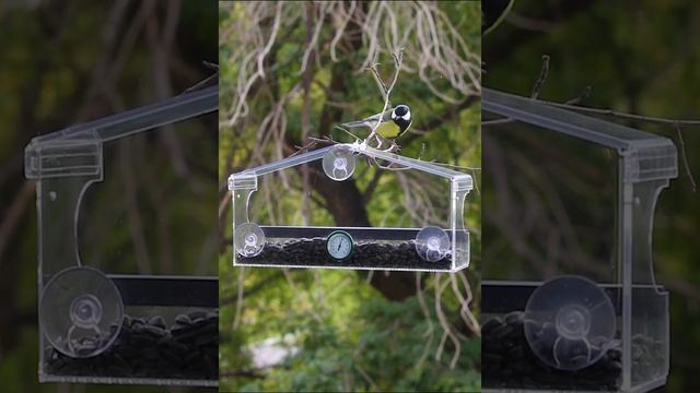 Кормушка для птиц на окно Сытые птички смотреть онлайн
