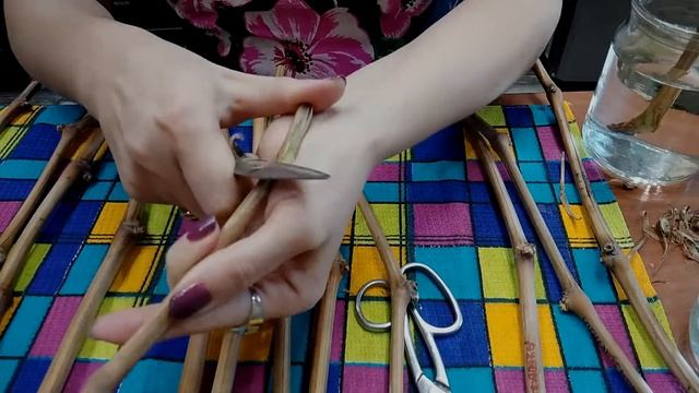 ВИНОГРАД ИЗ ЧУБУКОВ. ВСЕ ЭТАПЫ и НЮАНСЫ смотреть онлайн