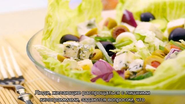 Функции углеводов и липидов смотреть онлайн