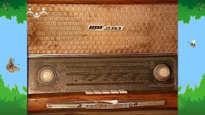 Утро в Шишкином Лесу. Быт. Радио в понедельник