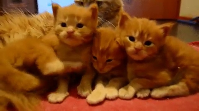 А вот и Я! 