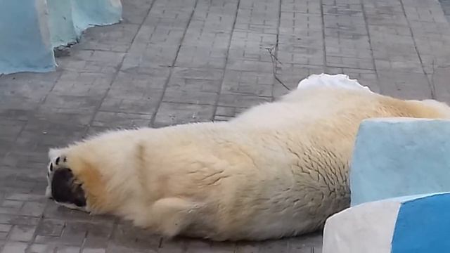 Спящие Кай и Герда.... смотреть онлайн