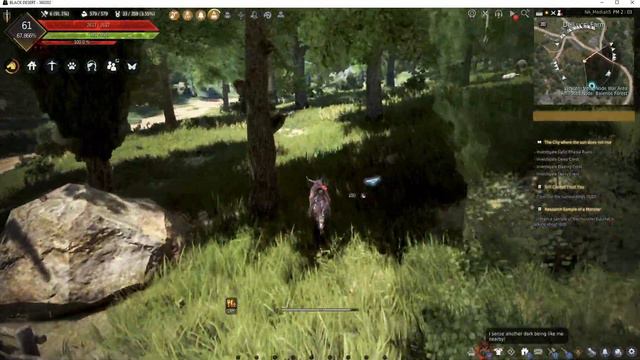 How to Gain Contribution Fast in Black Desert Online! - Balenos Dailies смотреть онлайн