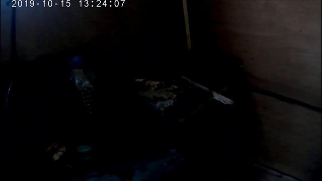 Крем мёд из подсолнечного мёда.Количество пчелы работающей на взятке.Осушка сот. смотреть онлайн