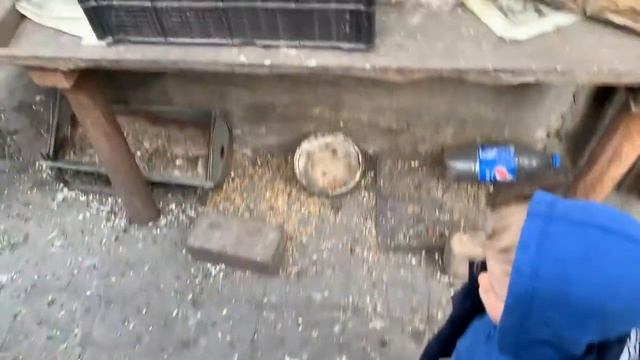 Воронеж. Подклетное. В гостях у бабушки. смотреть онлайн