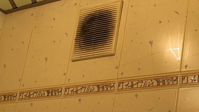 Уборка с умом и заботой