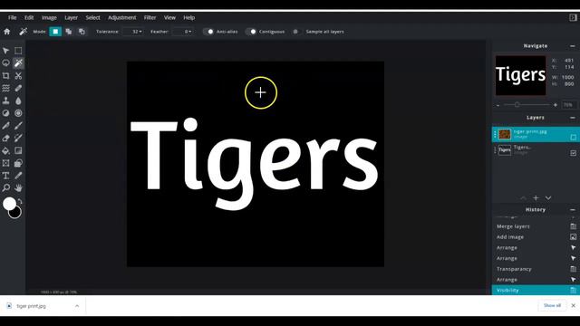Tiger: Filling Text with an Image in Pixlr смотреть онлайн