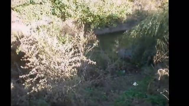 Чистую воду в сливную яму смотреть онлайн