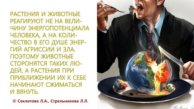 Как взаимодействует ЧЕЛОВЕК и ПРОРОДА в современном мире? (Секлитова Л.А. Стрельникова Л.Л.) смотреть онлайн
