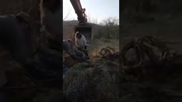 Ювелирная работа экскаватора Doosun 225. Погрузка цепи экскаватора в садовую тележку ковшом.