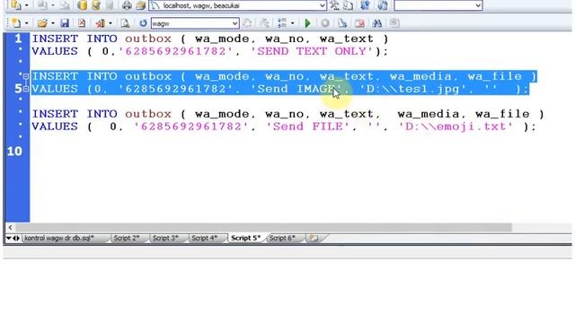 [WA-GW] This Amazing !! Very Simple Send WhatsApp Text Image Video File using SQL Only - No Need AP смотреть онлайн