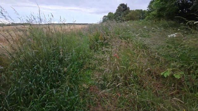 Masque Milano - Ray-Flection - Sunshine and Smiles (feat. blooper 🙄) смотреть онлайн