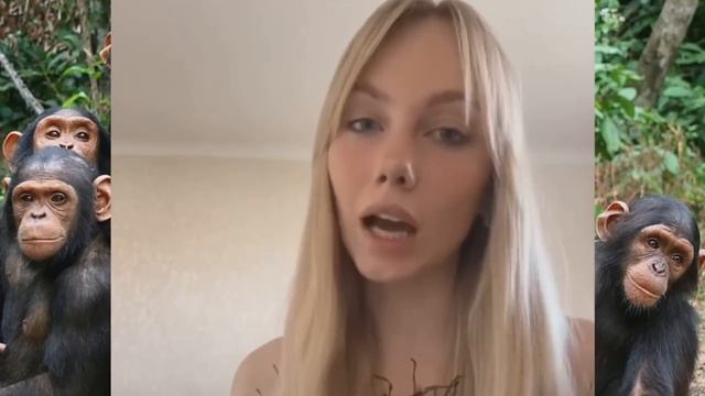 CEKPETHOE MECTO У ДEBOЧEK смотреть онлайн