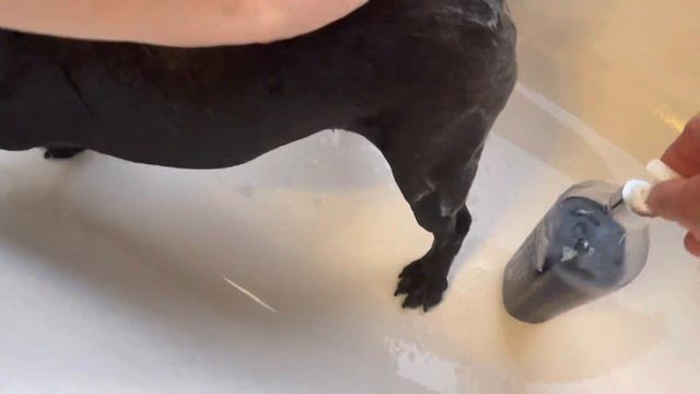 🌈 Ностальгия… она и в Африке ностальгия 😴 смотреть онлайн