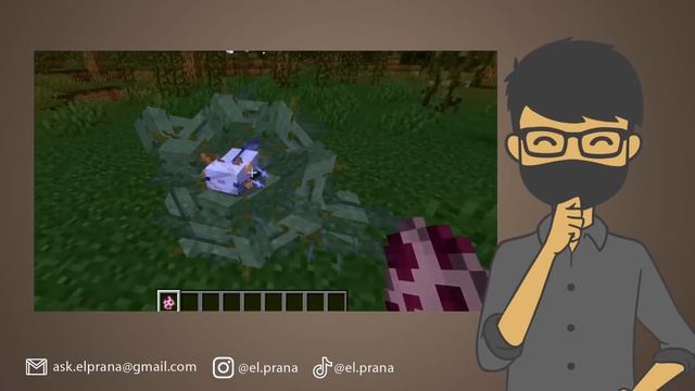 TEBAK NAMA MOB MINECRAFT, HANYA 1% YANG BISA!! смотреть онлайн