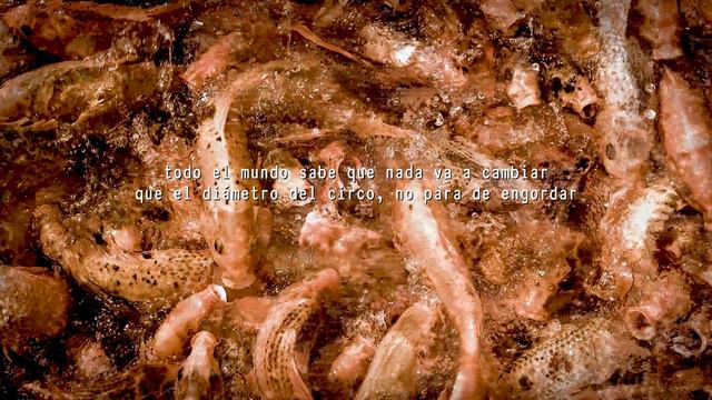 El Columpio Asesino - La niña chica (Videolyric oficial) смотреть онлайн