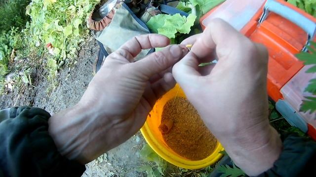 В этом болоте есть крупная рыба!!! Разведка рыбных мест! Рыбалка 2020. смотреть онлайн