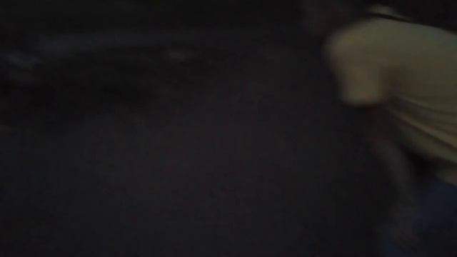 Собака 🐩 просто ужас смотреть онлайн