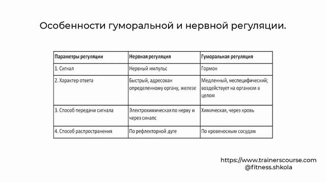 Фитнес обучение. Урок 5. Сроение нервной системы. смотреть онлайн