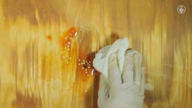 Рецепт приготовления салата Дудляш в Чайхоне №1 смотреть онлайн