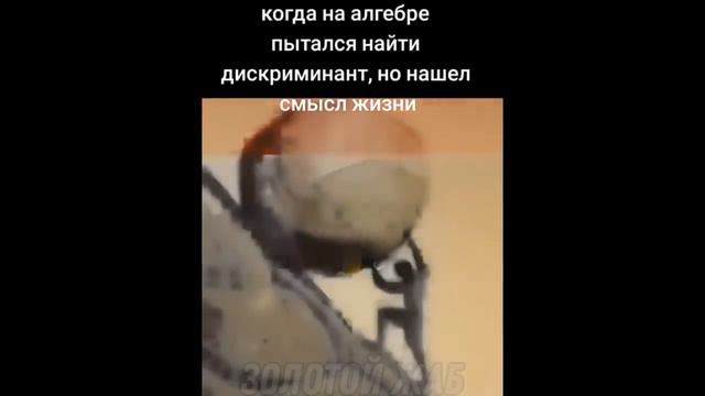 тикток нарушил ключевое событие | подборка мемов смотреть онлайн