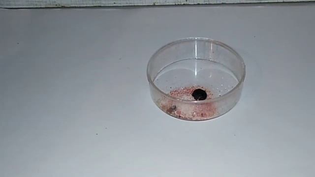 Реакция ДИХРОМАТА АММОНИЯ и ЩАВЕЛЕВОЙ КИСЛОТЫ. Chemical experiment. Опыты по химии дома. смотреть онлайн