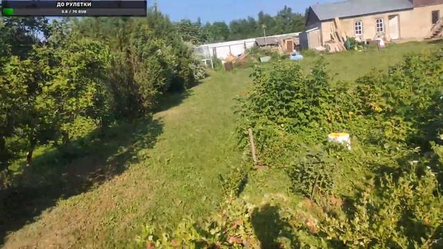 IRL с дачи (150 лайков = прыгаю в басейн) смотреть онлайн