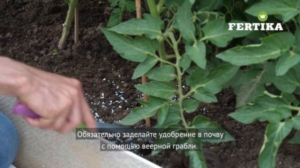 Фертика Универсал-2 Сад и огород Весна-Лето