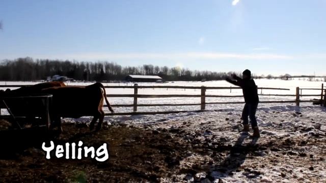 Cows vs. Aliens: In Real Life смотреть онлайн