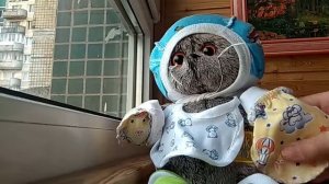 Пинеточки ,носочки для Басика и Гоши и распаковка LPS ?