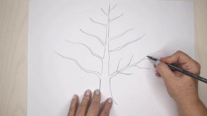 Как рисовать дерево правильно