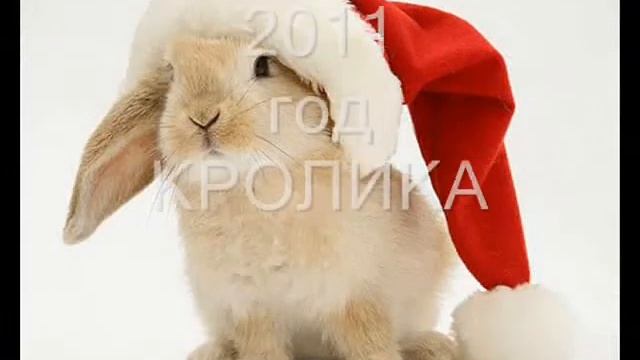 Приглашаем на новогодние программы смотреть онлайн